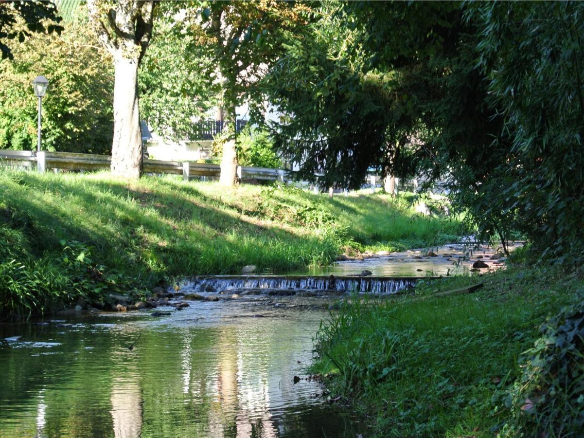 Landhaus Edelmann Mullheim  Bagian luar foto